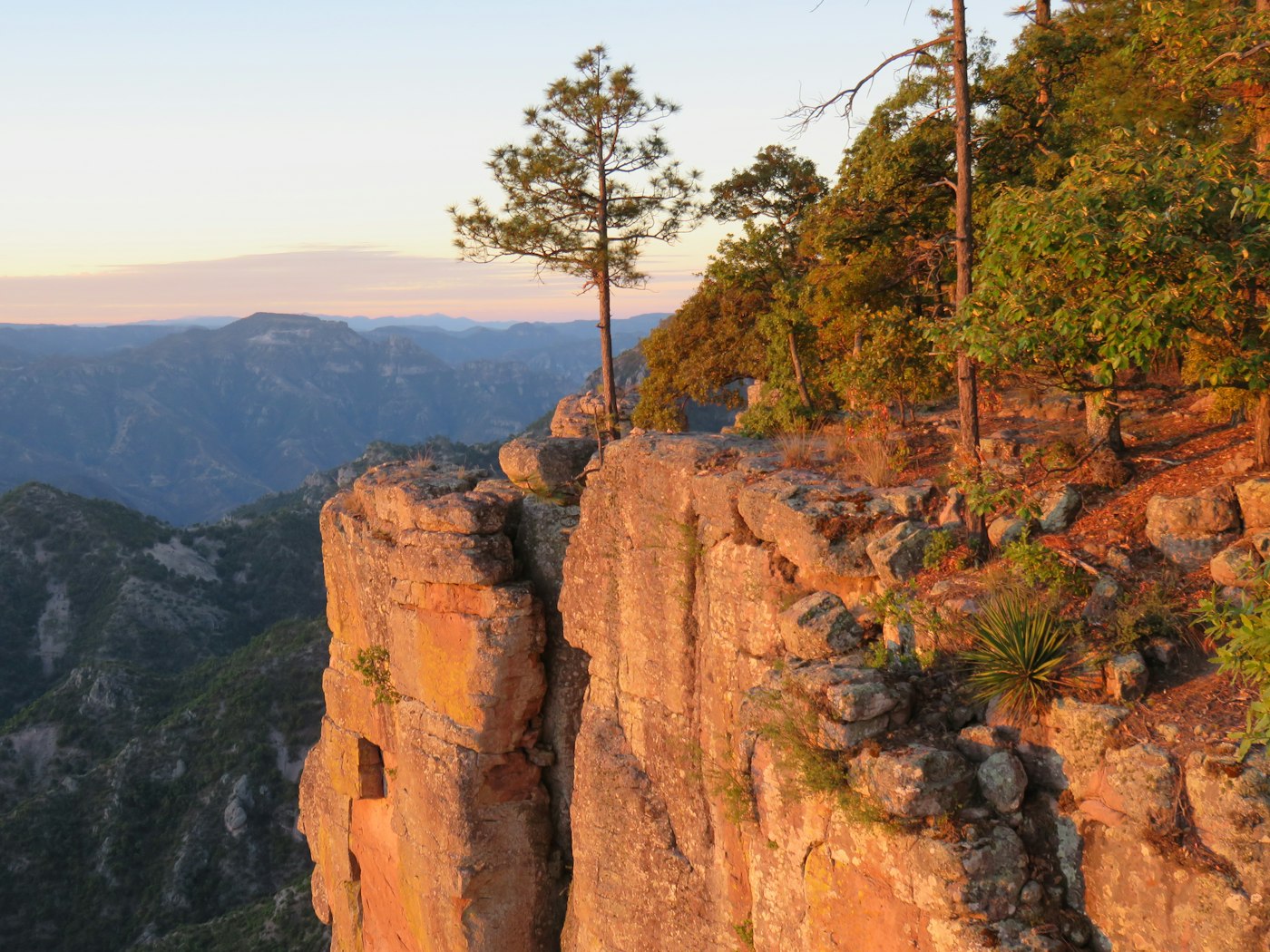 Barrancas del Cobre entre montañas y bosque